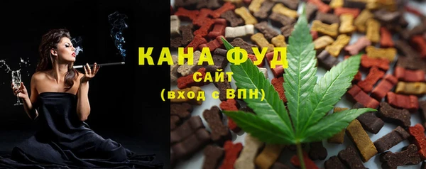 мдпв Костерёво