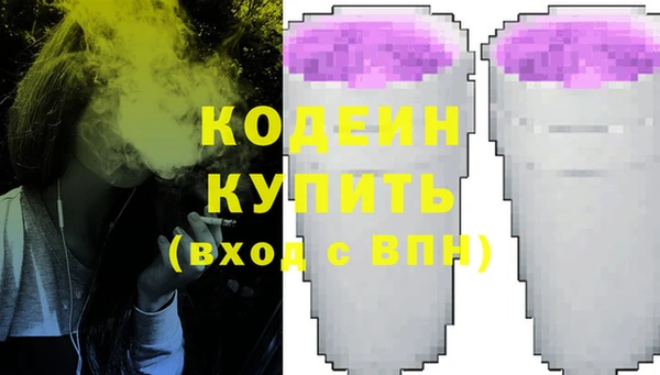 трава Корсаков