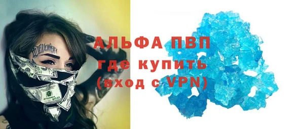трава Корсаков