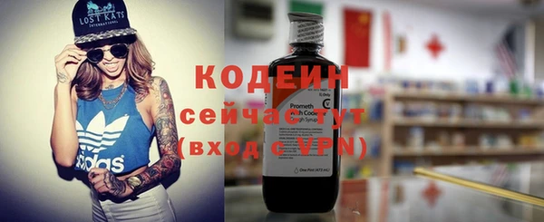 трава Корсаков