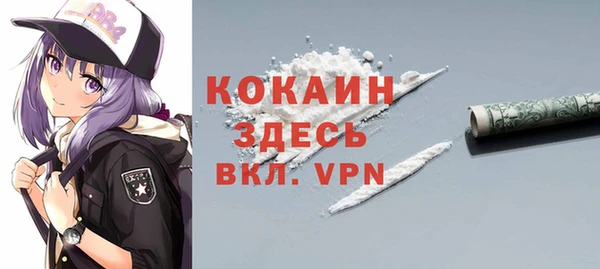 мдпв Костерёво