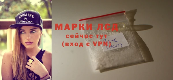 трава Корсаков