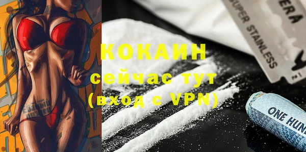 трава Корсаков