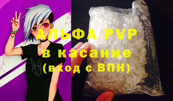 трава Корсаков