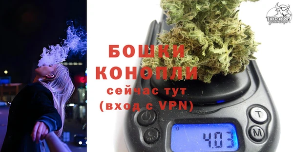 трава Корсаков