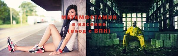 трава Корсаков