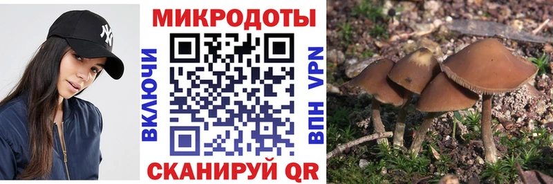 Галлюциногенные грибы GOLDEN TEACHER  Купить закладки  Ижевск 